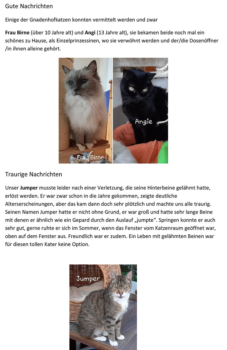 Gnadenhof Katzen 7